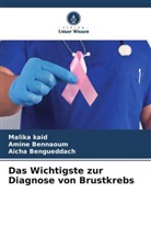 Aicha Bengueddach, Amine Bennaoum, Malika Kaid - Das Wichtigste zur Diagnose von Brustkrebs
