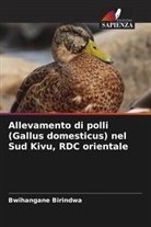 Bwihangane Birindwa - Allevamento di polli (Gallus domesticus) nel Sud Kivu, RDC orientale
