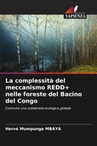 Hervé Mumpunga Mbaya - La complessità del meccanismo REDD+ nelle foreste del Bacino del Congo
