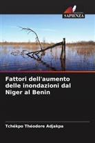 Tchékpo Théodore Adjakpa, Abraham A. Ayéna, Idelbert D. Behanzin - Fattori dell'aumento delle inondazioni dal Niger al Benin