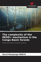 Hervé Mumpunga Mbaya - The complexity of the REDD+ mechanism in the Congo Basin forests