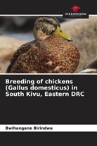 Bwihangane Birindwa - Breeding of chickens (Gallus domesticus) in South Kivu, Eastern DRC
