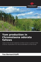 Yao Bernard Koffi - Yam production in Chromolaena odorata fallows