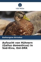 Bwihangane Birindwa - Aufzucht von Hühnern (Gallus domesticus) in Süd-Kivu, Ost-DRK