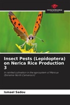 Ismael Sadou - Insect Pests (Lepidoptera) on Nerica Rice Production 3