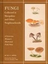 M F Lewis, M. F. Lewis, M.F. Lewis - Fungi Collected in Shropshire and Other Neighbourhoods