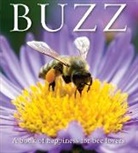 Adam Langstroth - Buzz