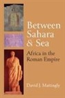 David J Mattingly, David J. Mattingly - Between Sahara and Sea