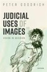 Peter Goodrich, Prof Peter (Professor of Law and Directo Goodrich - Judicial Uses of Images