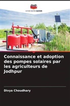 Divya Choudhary - Connaissance et adoption des pompes solaires par les agriculteurs de Jodhpur