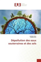 Habiba Dali, Naouel Dali - Dépollution des eaux souterraines et des sols