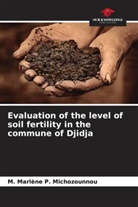 M. Marlène P. Michozounnou - Evaluation of the level of soil fertility in the commune of Djidja