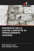 Nada Mahdi Fawzi, Zain Alabdeen Raouf - PROPRIETÀ DELLE LASTRE COMPATTE DI FERROCEMENTO LEGGERO