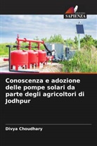 Divya Choudhary - Conoscenza e adozione delle pompe solari da parte degli agricoltori di Jodhpur