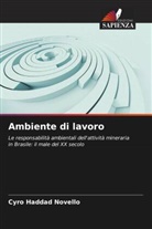 Cyro Haddad Novello - Ambiente di lavoro