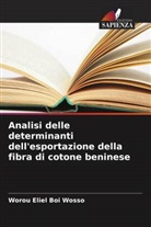 Worou Eliel Boi Wosso - Analisi delle determinanti dell'esportazione della fibra di cotone beninese