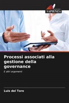Luis del Toro - Processi associati alla gestione della governance