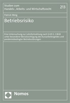 Patrick Weig - Betriebsrisiko