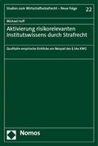 Michael Huff - Aktivierung risikorelevanten Institutswissens durch Strafrecht