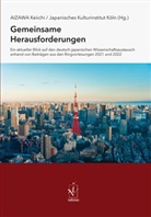 Keiichi Aizawa, Japanisches Kulturinstitut Köln, Kulturinstitut Köln - Gemeinsame Herausforderungen