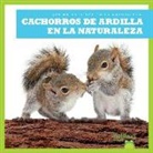Katie Chanez, N/A - Cachorros de Ardilla En La Naturaleza (Squirrel Kits in the Wild)