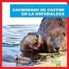 Katie Chanez, N/A - Cachorros de Castor En La Naturaleza (Beaver Kits in the Wild)