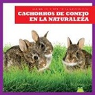 Katie Chanez, N/A - Cachorros de Conejo En La Naturaleza (Rabbit Kits in the Wild)