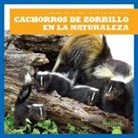 Katie Chanez, N/A - Cachorros de Zorrillo En La Naturaleza (Skunk Kits in the Wild)