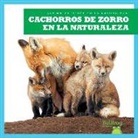 Katie Chanez, N/A - Cachorros de Zorro En La Naturaleza (Fox Kits in the Wild)