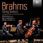 Brahms - String Sextets,Arranged For Piano Trio (Hörbuch)