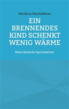 Herold Zu Moschdehner - Ein brennendes Kind schenkt wenig Wärme