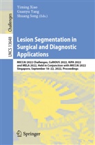 Shuang Song, Yiming Xiao, Guanyu Yang - Lesion Segmentation in Surgical and Diagnostic Applications
