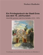 Norbert Haslhofer - Ein Privilegienbuch der Stadt Enns aus dem 16. Jahrhundert: