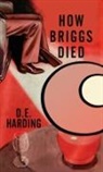 Douglas E Harding - How Briggs Died