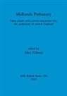 Alex Gibson - Midlands Prehistory