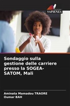 Oumar Bah, Aminata Mamadou TRAORE - Sondaggio sulla gestione delle carriere presso la SOGEA-SATOM, Mali