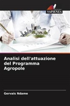 Gervais Ndame - Analisi dell'attuazione del Programma Agropole