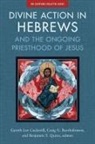 Zondervan, Craig Bartholomew, Gareth Lee Cockerill, Benjamin T. Quinn - Divine Action in Hebrews