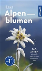 Norbert Griebl - Basic Alpenblumen