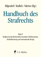 Eric Hilgendorf, Hans Kudlich, Hans Kudlich (Prof. Dr.), Brian Valerius, Br Valerius (Prof. Dr.) - Handbuch des Strafrechts