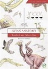 Horst Erich Konig, Rudiger Korbel, HANS-GEORG LIEBICH - Avian Anatomy 2nd Edition: Textbook and Colour Atlas