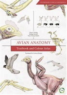 Horst Erich Konig, Rudiger Korbel, Hans-Georg Liebich - Avian Anatomy 2nd Edition