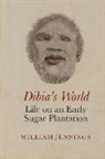 William Jennings - Dibias World: Life on an Early Sugar Plantation