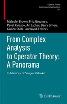 Malcolm Brown, Fritz Gesztesy, Pavel Kurasov, Pavel Kurasov et al, Ari Laptev, Barry Simon... - From Complex Analysis to Operator Theory: A Panorama