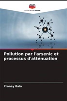 Pronay Bala - Pollution par l'arsenic et processus d'atténuation