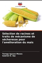 Terngu Igyuve Moses, Gabriel O. Ojo - Sélection de racines et traits de mécanisme de sécheresse pour l'amélioration du maïs