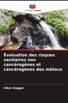 Vikas Duggal - Évaluation des risques sanitaires non cancérogènes et cancérogènes des métaux