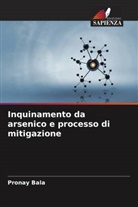 Pronay Bala - Inquinamento da arsenico e processo di mitigazione