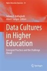 Juliana E Raffaghelli, Juliana E. Raffaghelli, Sangrà, Albert Sangrà - Data Cultures in Higher Education