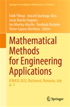 Víctor Gayoso Martínez, Jesús Martín Vaquero, Jesús Martín Vaquero et al, Ion Mierlu¿-Mazilu, Ion Mierlus-Mazilu, Araceli Queiruga-Dios... - Mathematical Methods for Engineering Applications